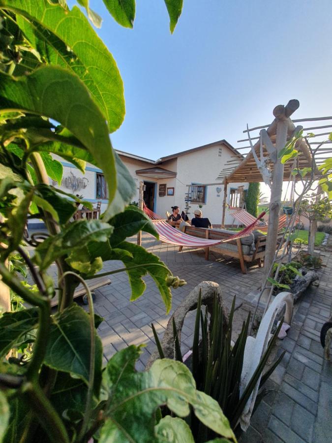 Salty Jackal Surf Camp Hotel Swakopmund Exterior photo