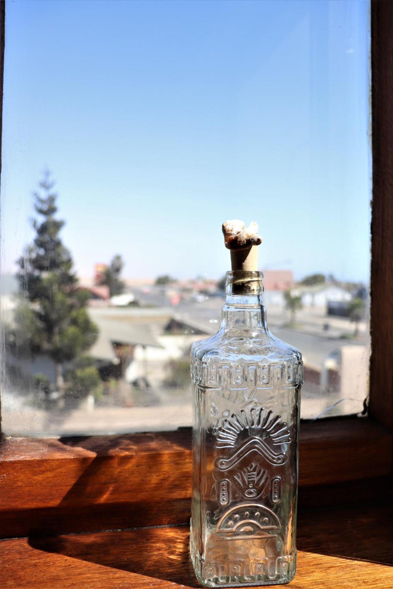 Salty Jackal Surf Camp Hotel Swakopmund Room photo